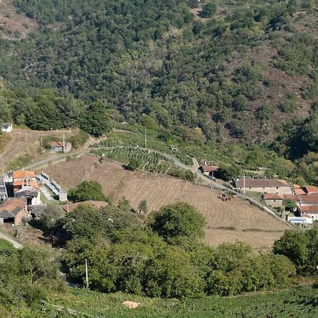 Pension Boutique Teixeira, 3 Estrellas Ла-Тейхейра Экстерьер фото